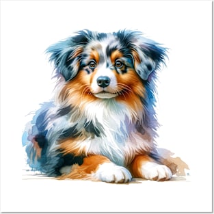 Miniature American Shepherd Watercolor Painting - Beautiful Dog Posters and Art